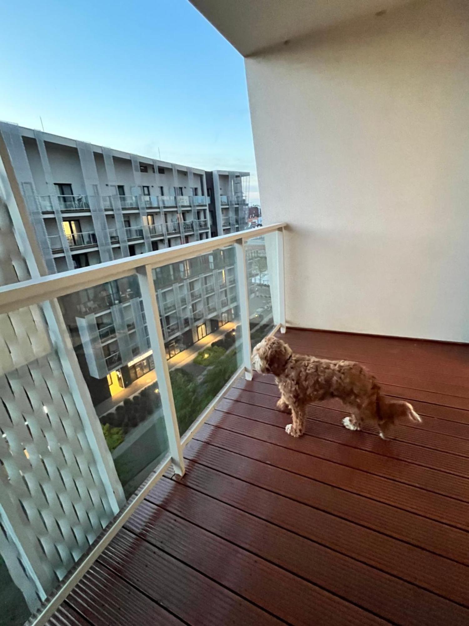 Family House By The River Odra -Panoramic Terrace - 3Room Apartment With 2 Separate Bedrooms And 2 Balconies By Wroapart-Pl- Perfect For Family & Business Stays Wrocław Eksteriør bilde